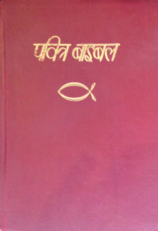 IBP Bible Hardback Blue Cover