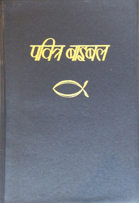 IBP Black Plasticback Bible Cover