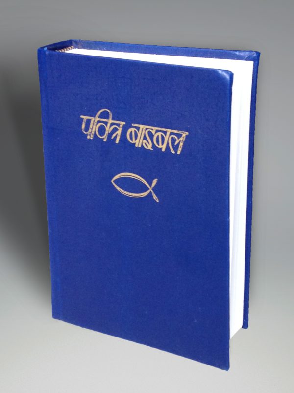 IBP Blue Hardback Bible