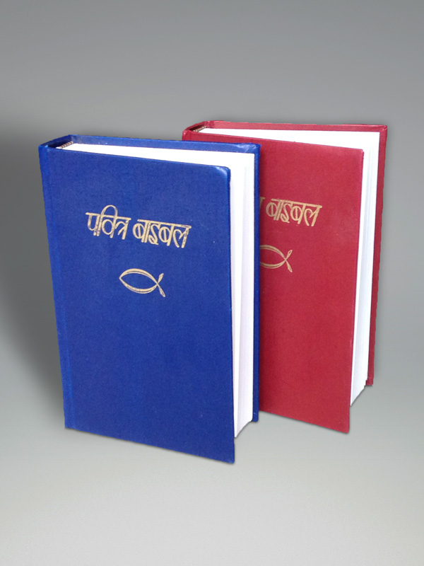 IBP Bible (Hardback) - हिन्दी