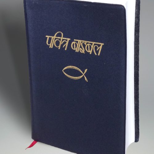 IBP Black Plasticback Bible