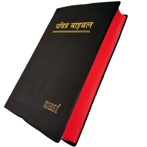 BSI Hindi Bible (Softcover) - हिन्दी