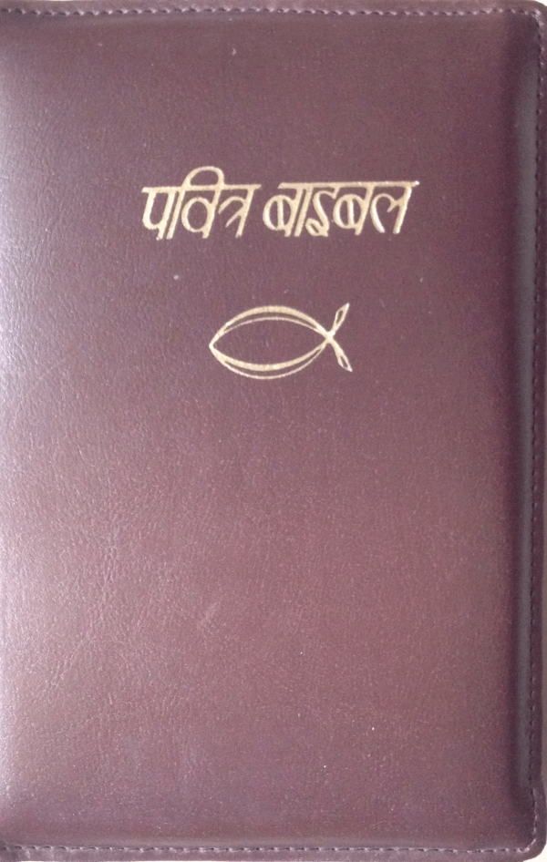 IBP Bible (Zipcover) - हिन्दी