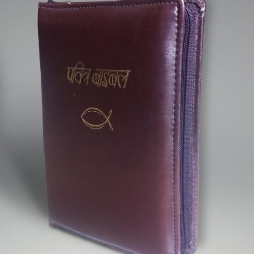 IBP Bible (Zipcover) - हिन्दी