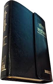 HINDI BSI COMPACT ZIP LEATHER