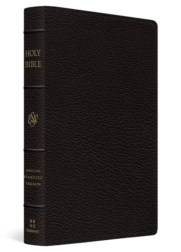 ESV Holy Bible- Leather Bound- Large Print