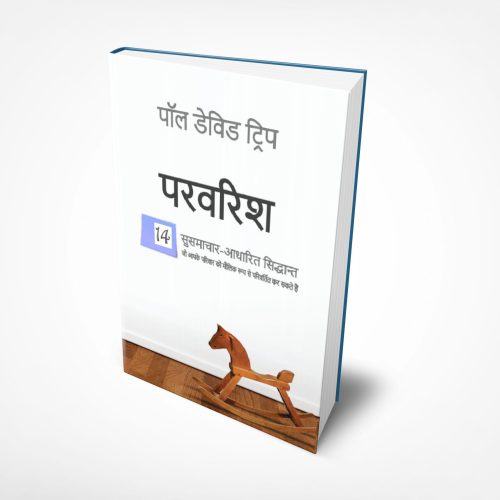 Parenting- 14 Gospel Principles That Can Radically Change Your Family (हिन्दी)