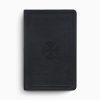 ESV Large Print Value Thinline Bible