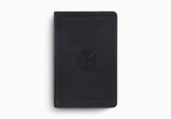 ESV Large Print Value Thinline Bible