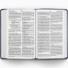 ESV Large Print Value Thinline Bible