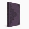 ESV Large Print Value Thinline Bible