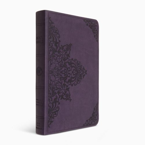 ESV Large Print Value Thinline Bible
