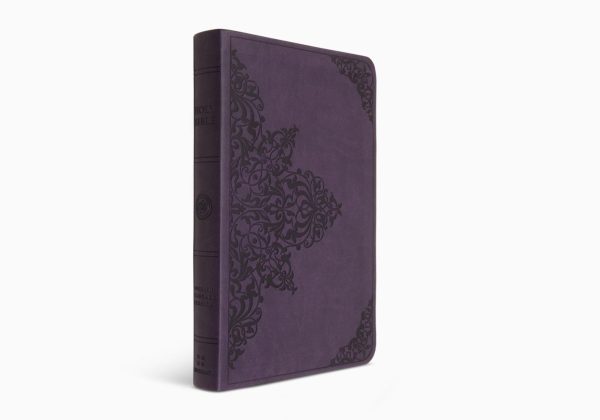 ESV Large Print Value Thinline Bible