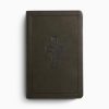 ESV Large Print Value Thinline Bible