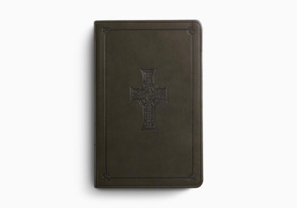 ESV Large Print Value Thinline Bible