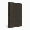 ESV Large Print Value Thinline Bible