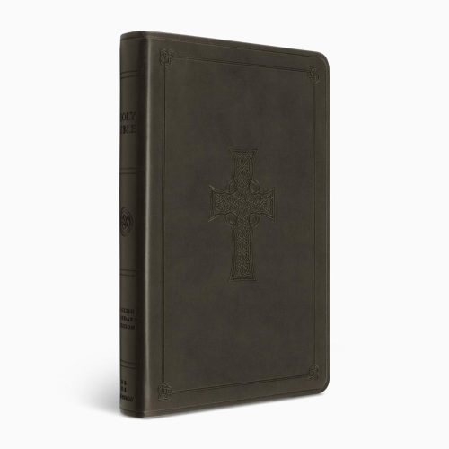 ESV Large Print Value Thinline Bible