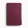 ESV Large Print Value Thinline Bible