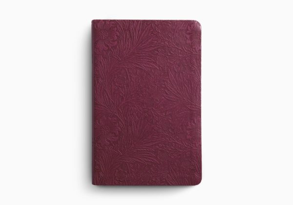 ESV Large Print Value Thinline Bible
