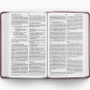 ESV Large Print Value Thinline Bible