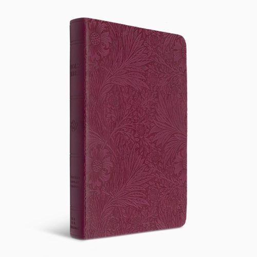 ESV Large Print Value Thinline Bible