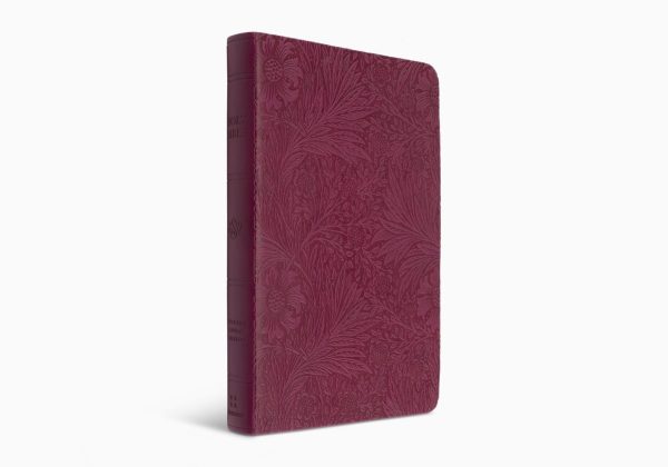 ESV Large Print Value Thinline Bible