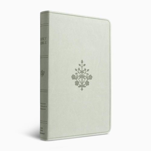 ESV Large Print Value Thinline Bible
